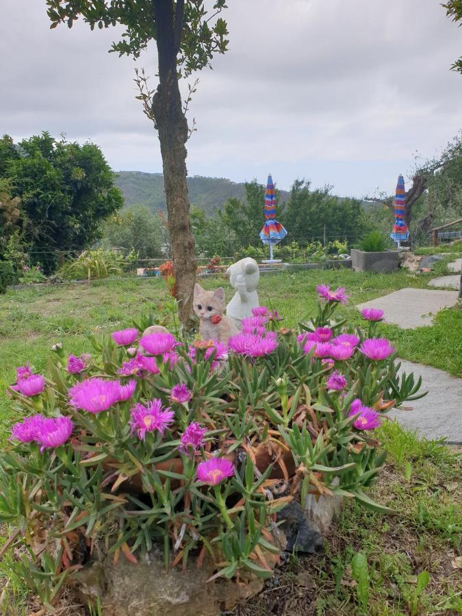 Ca' Olivella Villa Casarza Ligure Eksteriør bilde